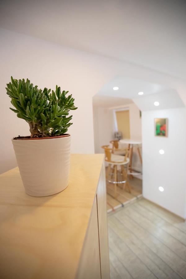 בראשוב Brasha Residence מראה חיצוני תמונה